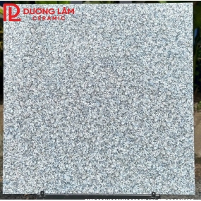 gạch lát nền loại 19- kích thước 80x80