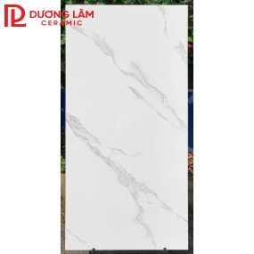 gạch lát nền loại 4- kích thước 600x1m2