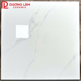 gạch lát nền loại 6- kích thước 60x60