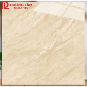 gạch lát nền loại 6- kích thước 80x80