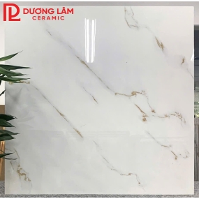 gạch lát nền loại 8- kích thước 80x80