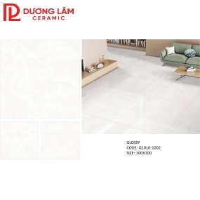 Gạch đá bóng kiếng glossy G1010-1002