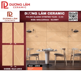 Gạch Ấn Độ Glossy-612-1003