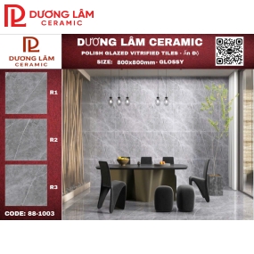 Gạch Ấn Độ Glossy_88-1003