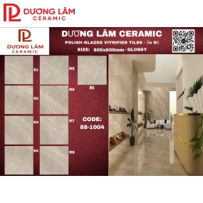 Gạch  Ấn Độ Glossy_88-1004