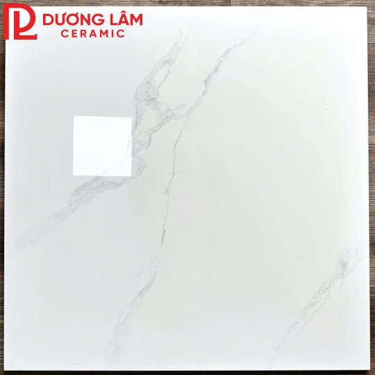 gạch lát nền loại 6- kích thước 60x60