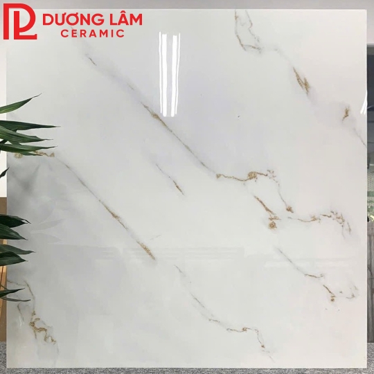 gạch lát nền loại 8- kích thước 80x80