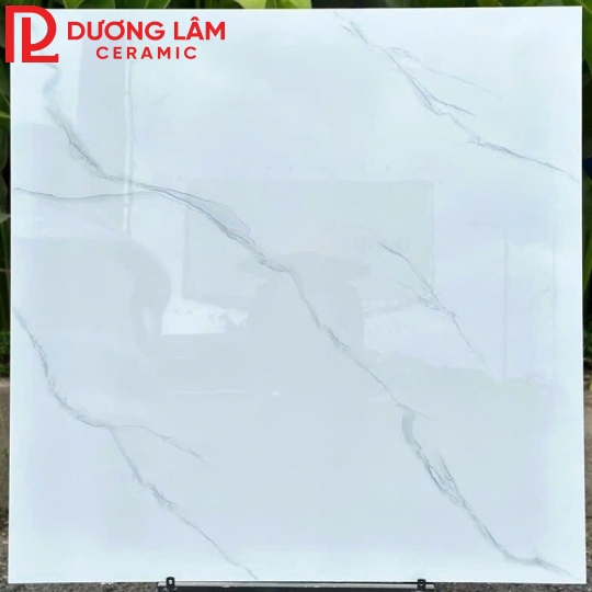 gạch lát nền loại 9- kích thước 80x80